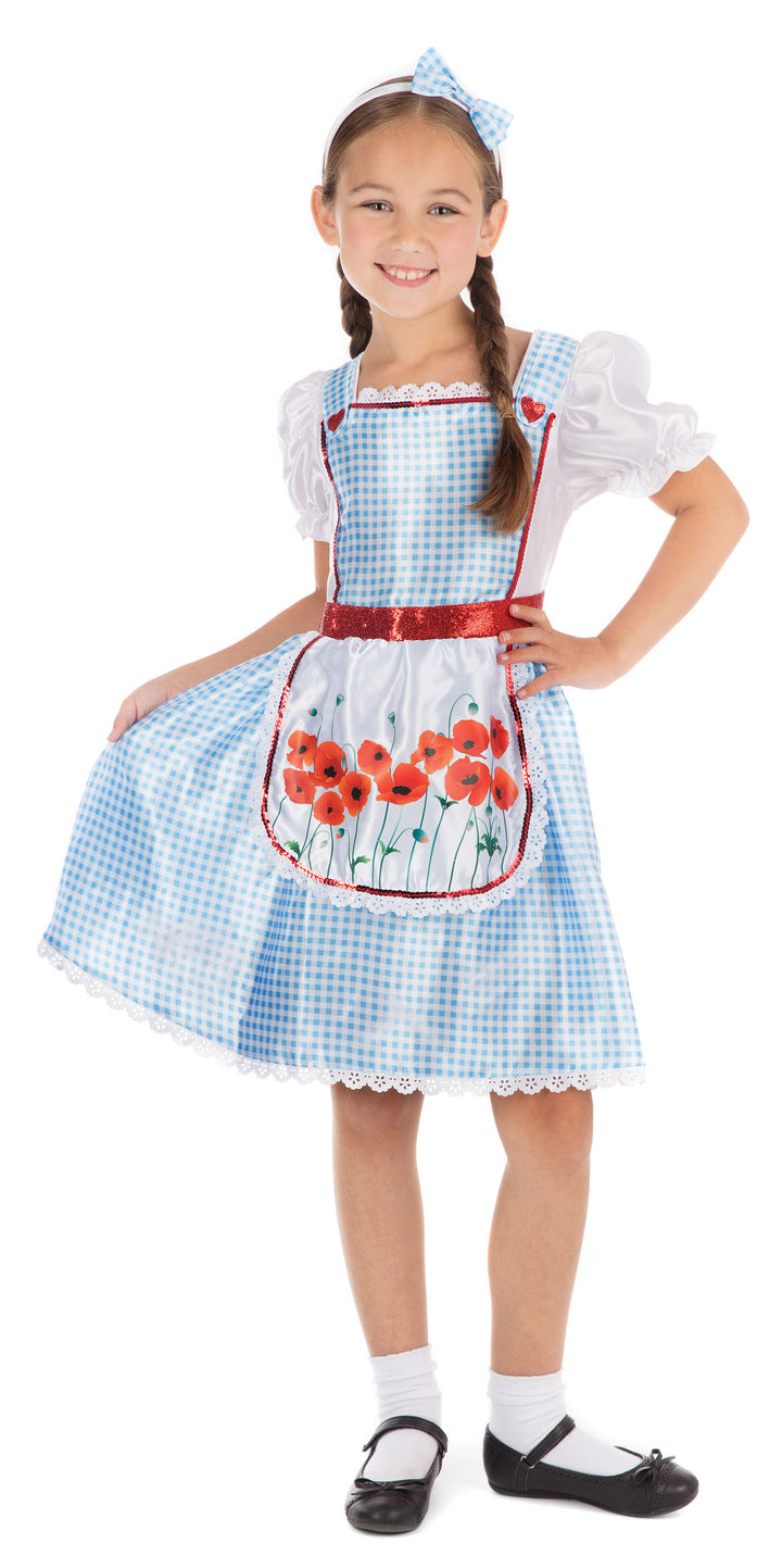 Dorothy Fairy Tale Girl Storybook Costume