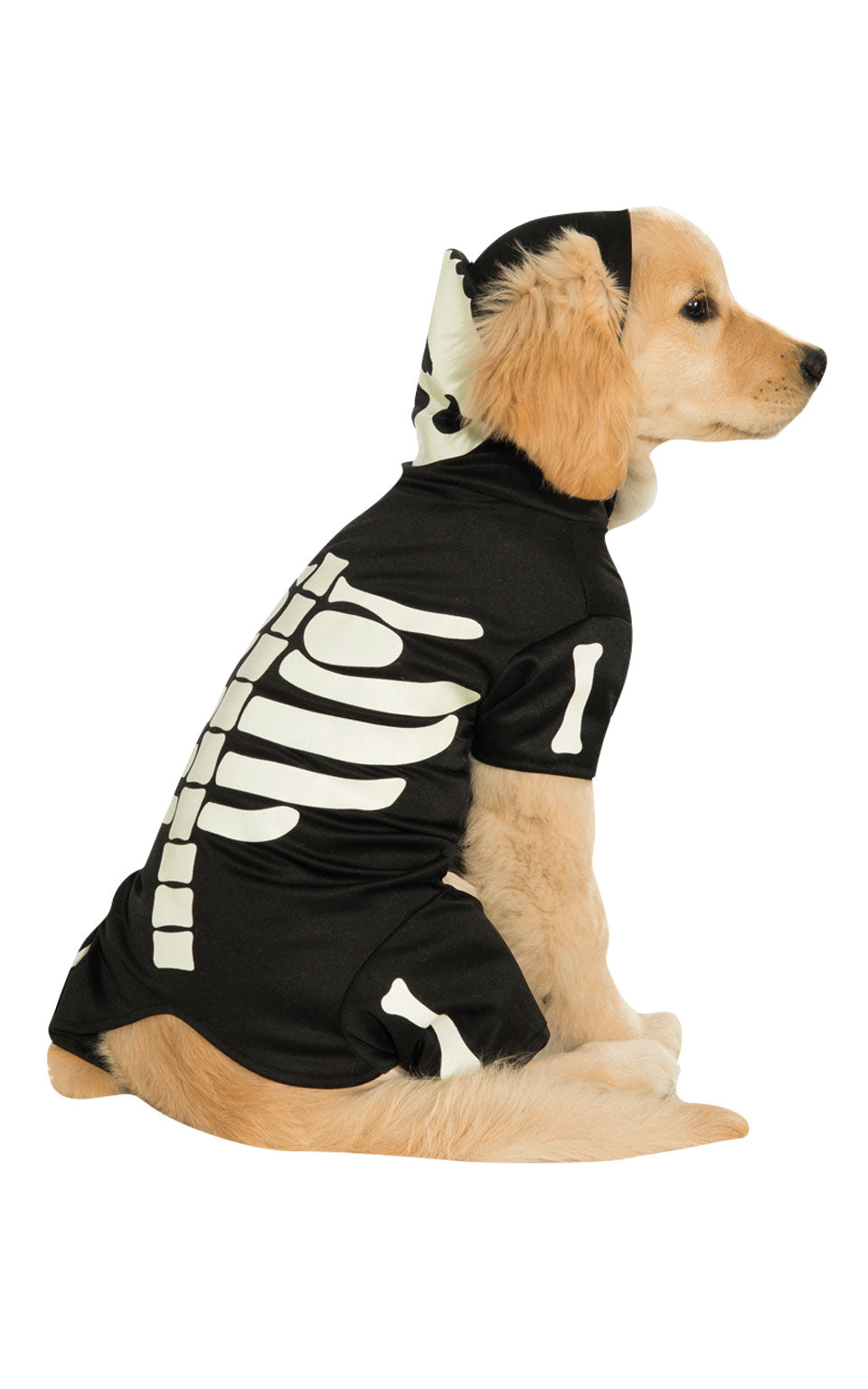 Pet Skeleton Glow in the Dark Halloween Costume