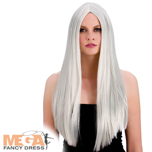 Classic Long Silver Wig