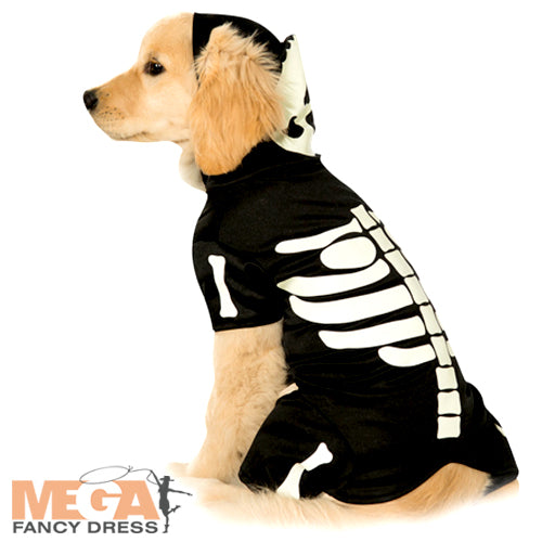 Pet Skeleton Glow in the Dark Halloween Costume