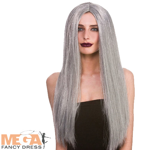Classic Long Dark Grey Wig Stylish Hair Accessory