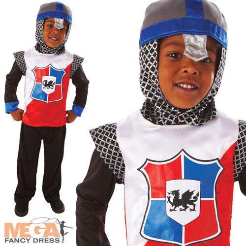 Boys Knight of the Realm Medieval Tudor Historical Book Fancy Dress Costume