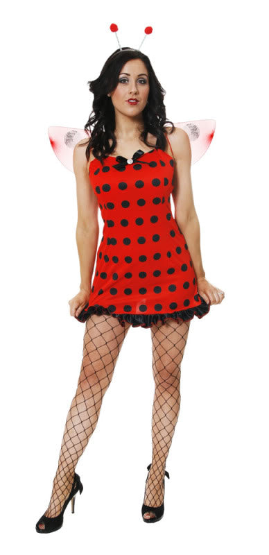 Ladies Cute Lady Bug Fancy Dress Animal Ladybird Book Day Costume