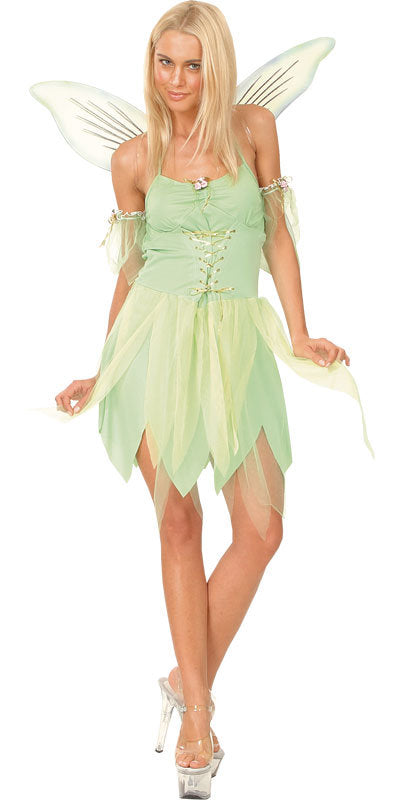 Neverland Fairy Fantasy Costume