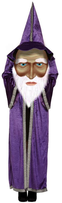 Wizard with Giant Face Boys Magical Costume